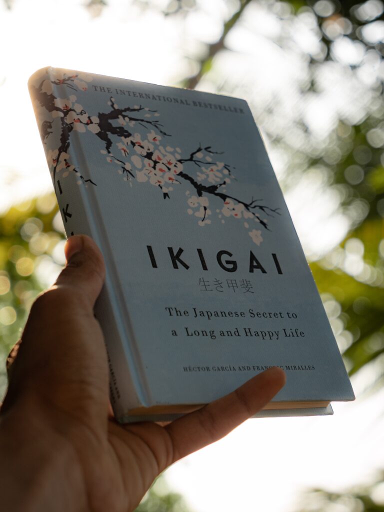 comment trouver son ikigai, comment trouver sa boussole intérieure, comment trouver sa puissance, coaching puissancez, coach ikigai amiens, quel ikigai coach, quel meilleur coach ikigai france