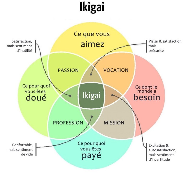 comment trouver son ikigai, comment trouver sa boussole intérieure, comment trouver sa puissance, coaching puissancez, coach ikigai amiens